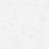 Misty White 1.jpg