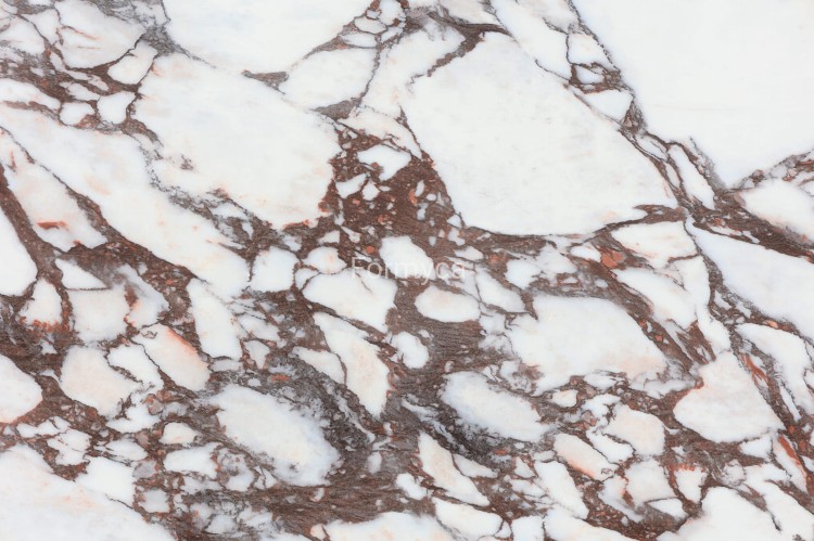 Calacatta Viola 1b.jpg